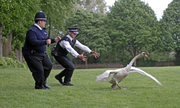 hot_fuzz_02.jpg