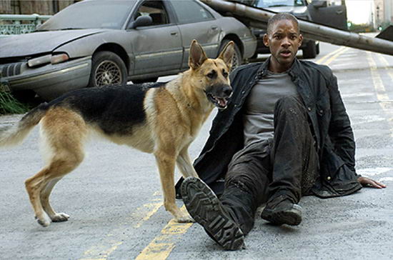 I Am Legend Will Smith I Am Legend Will Smith