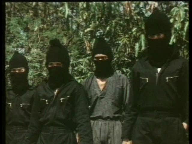 Garagistes ninjas? Garagistes ninjas?